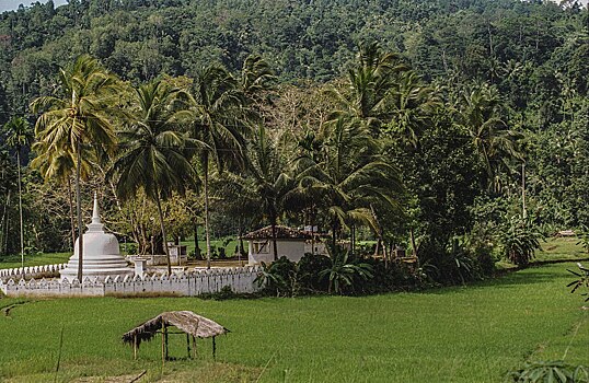 Туристы вылетели на Шри-Ланку из Новосибирска на трое суток позже графика