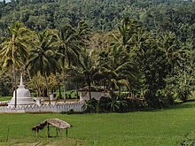 Туристы вылетели на Шри-Ланку из Новосибирска на трое суток позже графика