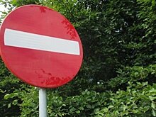 Реконструкцию Чугунного моста в Кузнецке планируют возобновить