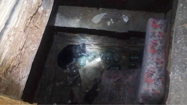 Подмосковные спасатели вытащили кота и собаку из канализационного колодца