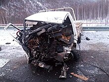 Водитель грузовика погиб в лобовом столкновении на трассе Хабаровск - Комсомольск (ФОТО)