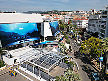 Канны-2024: забастовка, секс-скандал и Серебренников с фильмом про Лимонова