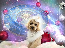 Восточный гороскоп на 2018 год по годам рождения