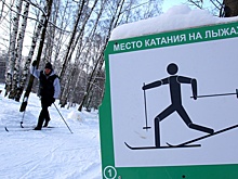 В Москве проложат 35 лыжных трасс с искусственным снегом