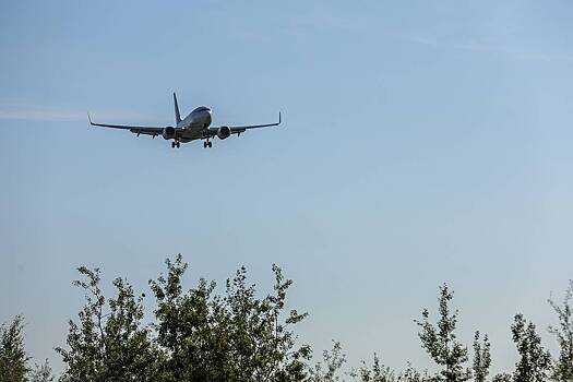 Консул в Таиланде рассказал о рабстве россиян в Мьянме