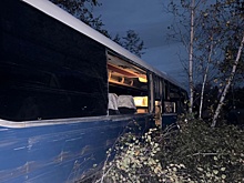 В Челябинской области автобус съехал с дороги и врезался в дерево