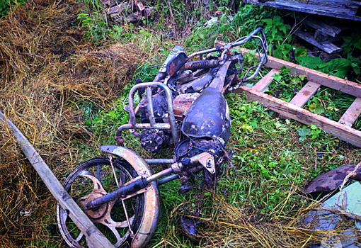 В деревне под Великими Луками произошел пожар, в результате которого сгорели сарай, мопед и сено