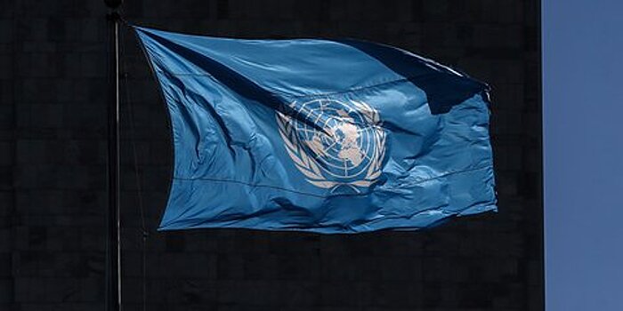 ООН не подтвердила ликвидацию главаря ИГ в Сирии