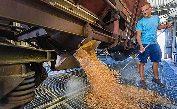 Посол Украины разъяснил Варшаве позицию Киева по запрету импорта зерна