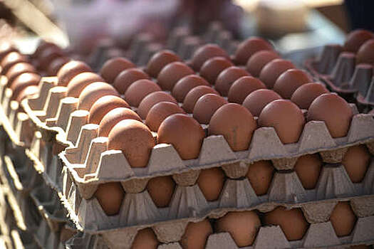 Россельхознадзор: в Россию из Азербайджана ввезено 3,6 млн куриных яиц