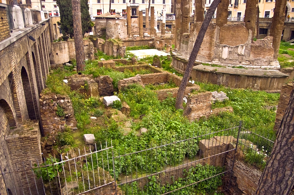Ларго ди Торре Арджентина, Рим, Италия, Европа
