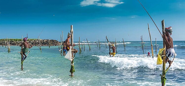 Шри-Ланка сокращает карантин для невакцинированных иностранцев