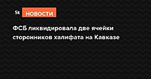 ФСБ ликвидировала две ячейки сторонников халифата на Кавказе