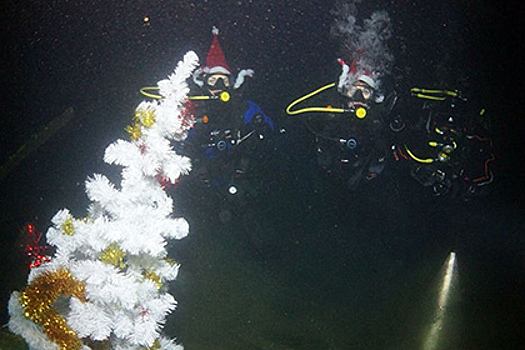 Дайверы в Мурманске установили елку под водой