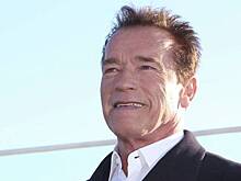 Хакеры “похоронили” Арнольда Шварценеггера