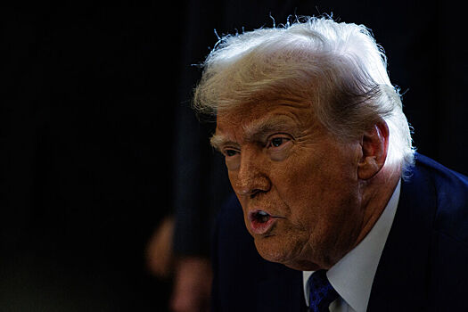 В Германии призвали не воспринимать буквально все слова Трампа