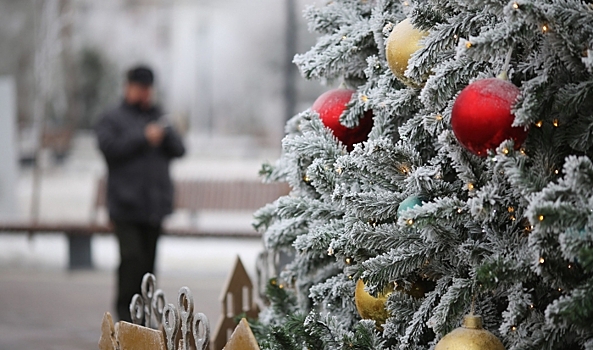 Каждый шестой волгоградец мечтает о более длительных новогодних каникулах