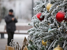 Каждый шестой волгоградец мечтает о более длительных новогодних каникулах