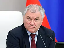 Володин предложил ужесточить ответственность для россиян за рубежом