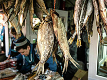 Россияне могут остаться без астраханской воблы