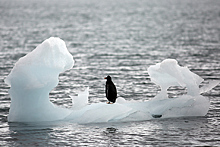 В Антарктиде обнаружили беспрецедентно мало льда