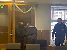 В Москве арестовали курьеров, похитивших 50 млн рублей у генерала в отставке