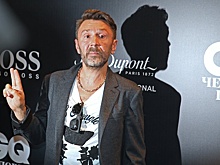 Помощница лидера "Ленинграда" Сергея Шнурова осуждена за миллионные кражи