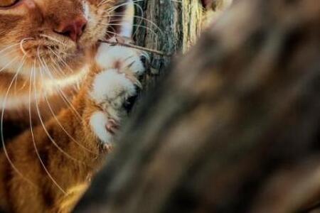 Озвучен прогноз погоды во Владивостоке на завтра