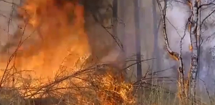 В Калужской области в 2020 году зафиксировали 11 очагов природных пожаров