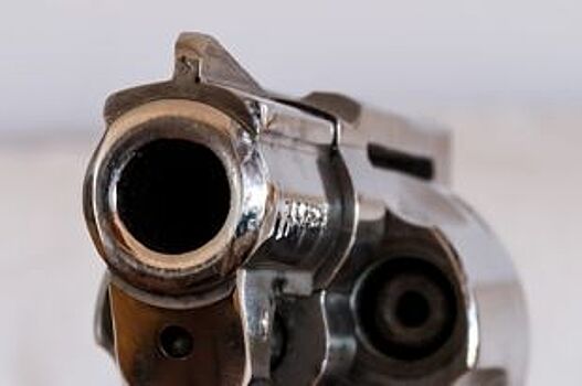 В Ломоносовском районе нашли револьвер