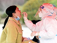 Петербургские ученые нашли вирусы, уничтожающие внутрибольничные инфекции