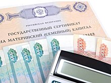 В Госдуме оценили идею увеличить маткапитал для медработников