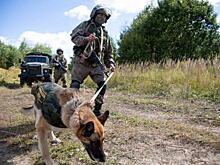 Росгвардия присоединилась к разминированию в Курской области