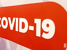В Новгородской области за сутки выявлен 131 носитель SARS-CoV-2