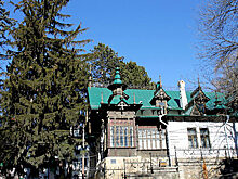 Названо главное дерево России