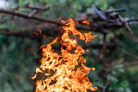 Площадь лесных пожаров на Кубани выросла в 1,9 раза