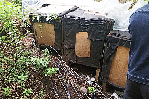 В кустах под Иркутском нашли ферму по добыче криптовалюты