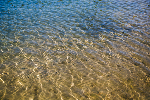 Ребенок умер в больнице после купания в озере в Санкт-Петербурге