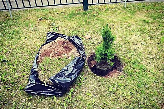 Новгородская земля приняла эстафету Автопробега Заповедное кольцо