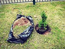Новгородская земля приняла эстафету Автопробега Заповедное кольцо
