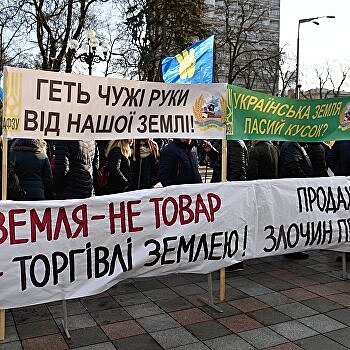 Земельный закон, грозящий перерасти в земельные войны. Что обсуждают соцсети Украины 7 февраля