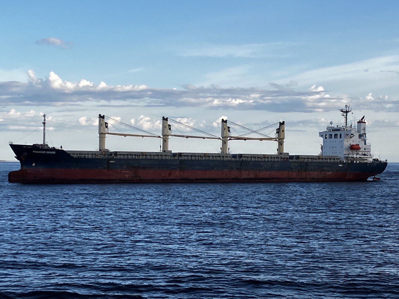 Российское зерно впервые поставили в Индию через порт Балтийского моря