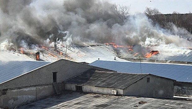 В Нижегородской области локализовали крупный пожар