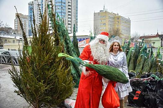 Елочные базары откроются в Челябинске на этой неделе