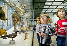 Праздник "Дошкольной Академии" пройдёт в Дарвиновском музее