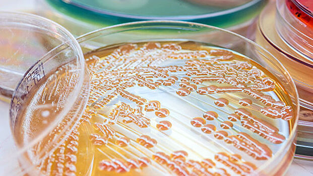 Биологи открыли микробов, которые питаются токсичным газом