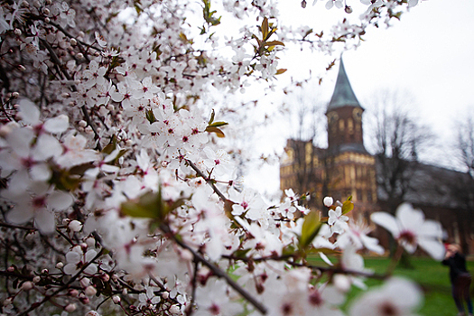 Воздержитесь от работы и не болтайте лишнего: народные приметы на 7 апреля