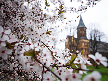 Воздержитесь от работы и не болтайте лишнего: народные приметы на 7 апреля