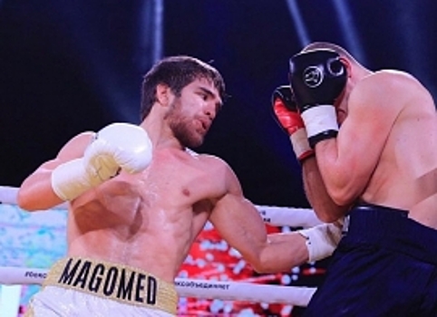 Непобежденный боксер-профессионал Магомед Мадиев одержал 14-ю победу в карьере