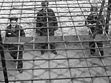Как в СССР боролись с «паразитами» советского общества